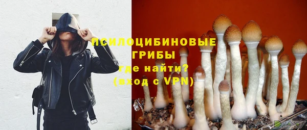 ПСИЛОЦИБИНОВЫЕ ГРИБЫ Магас