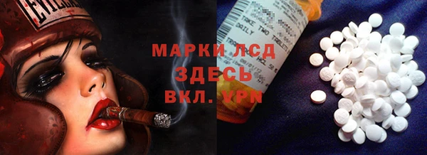 ПСИЛОЦИБИНОВЫЕ ГРИБЫ Магас