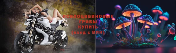 бошки Магадан