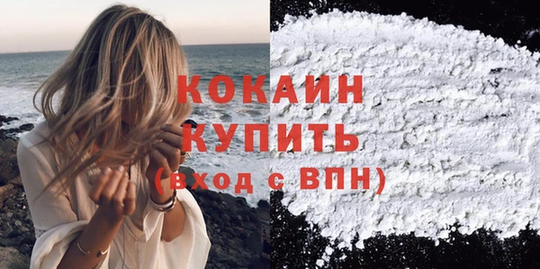 ПСИЛОЦИБИНОВЫЕ ГРИБЫ Магас