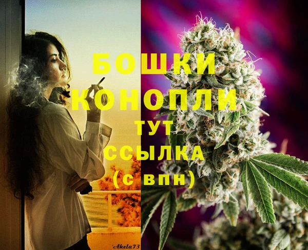 ПСИЛОЦИБИНОВЫЕ ГРИБЫ Магас