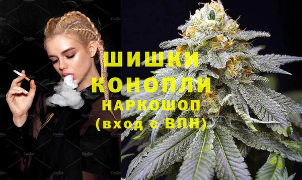 ПСИЛОЦИБИНОВЫЕ ГРИБЫ Магас