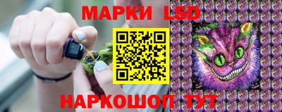 шишки Абакан
