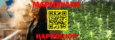 шишки Абакан