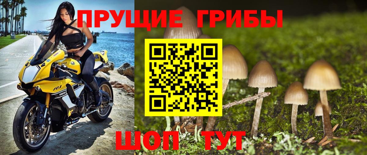 магазин продажи наркотиков  Псилоцибиновые грибы прущие грибы  Вход с VPN  Хабаровск 