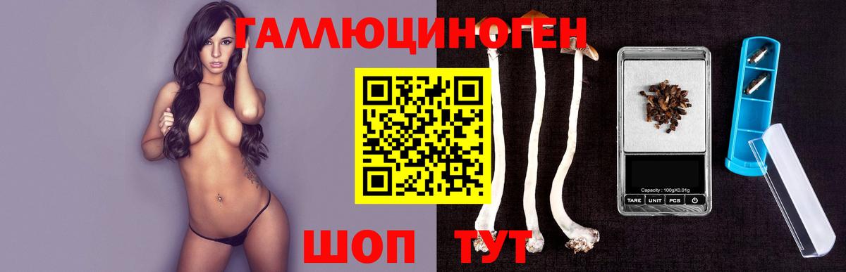 где купить   Галлюциногенные грибы Psilocybe  Псилоцибиновые грибы Psilocybine cubensis  Вход с VPN  Хабаровск 